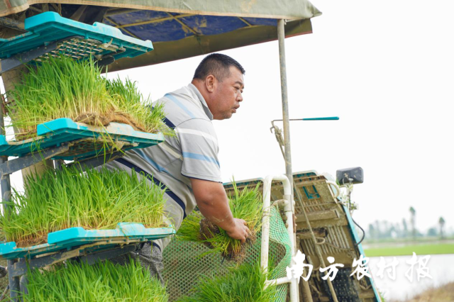 懂粮人富硒大米（富硒的大米）-硒宝网