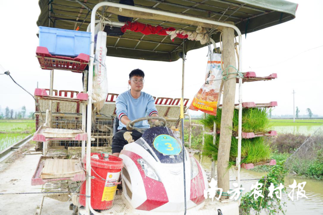 懂粮人富硒大米（富硒的大米）-硒宝网