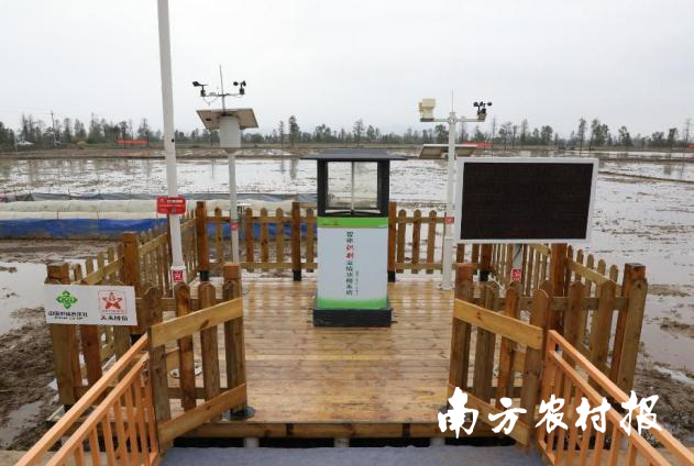 懂粮人富硒大米（富硒的大米）-硒宝网