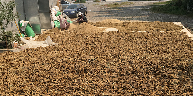 有机高富硒大米（富硒大米好还是有机大米好）-硒宝网