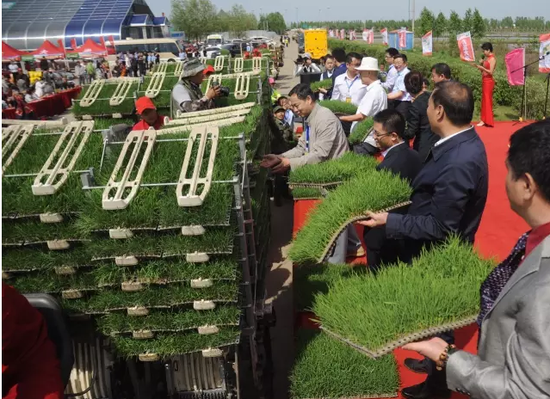 富硒大米李佳琦（佳品富硒大米）-硒宝网