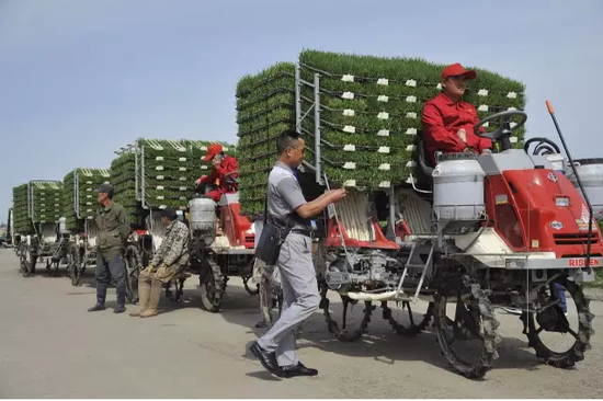 富硒大米李佳琦（佳品富硒大米）-硒宝网