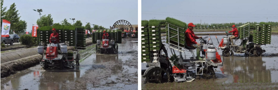 富硒大米李佳琦（佳品富硒大米）-硒宝网