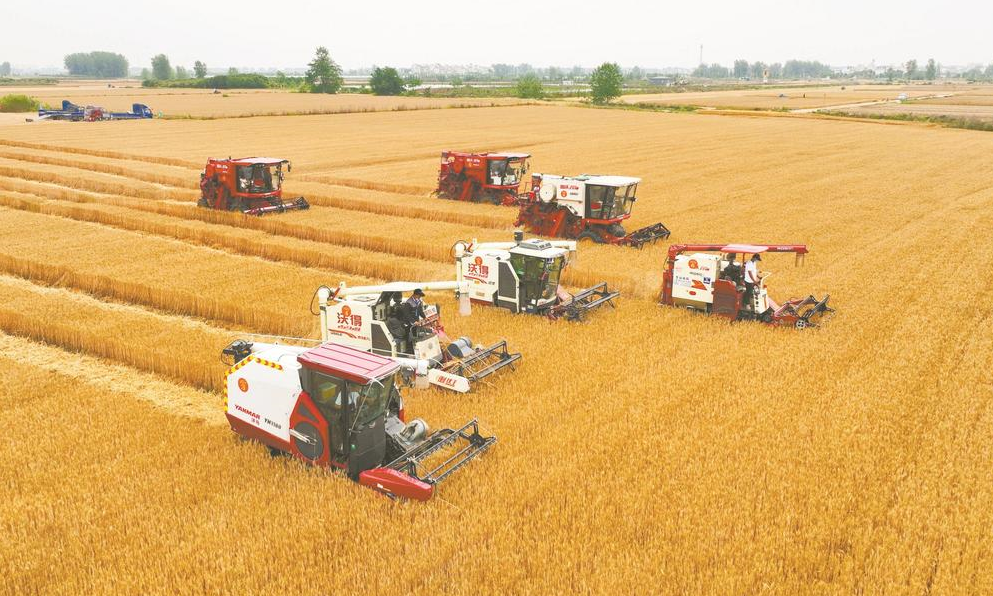 阜阳富硒锌大米（锌硒大米有什么营养）-硒宝网