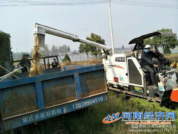 富硒大米石家庄（富硒大米哪里有卖）-硒宝网