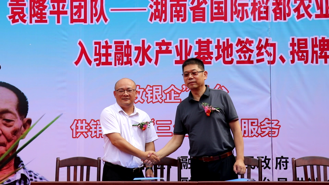 富硒大米的品种（大米品种富硒标准）-硒宝网