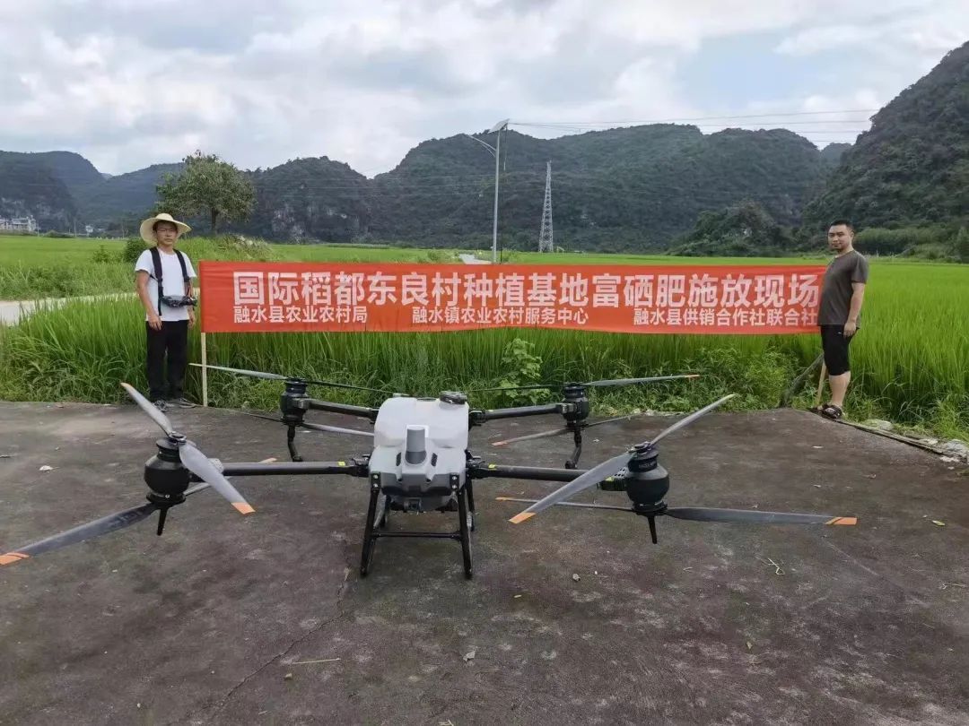 富硒大米的品种（大米品种富硒标准）-硒宝网