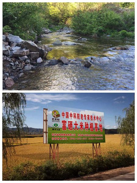 喜留香富硒大米(富硒香米好吗)-硒宝网