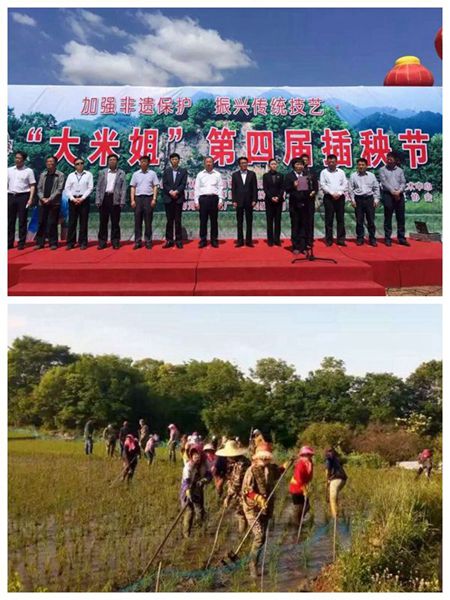 喜留香富硒大米(富硒香米好吗)-硒宝网