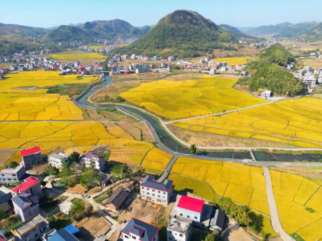 富硒大米新模式（富硒大米的硒指什么）-硒宝网