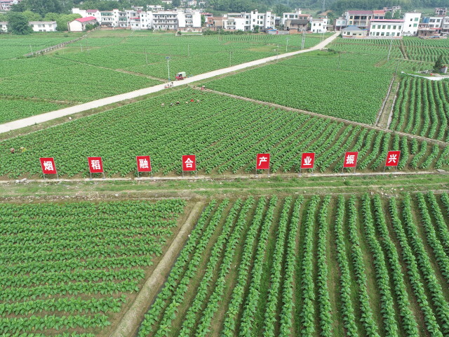 富硒大米新模式（富硒大米的硒指什么）-硒宝网