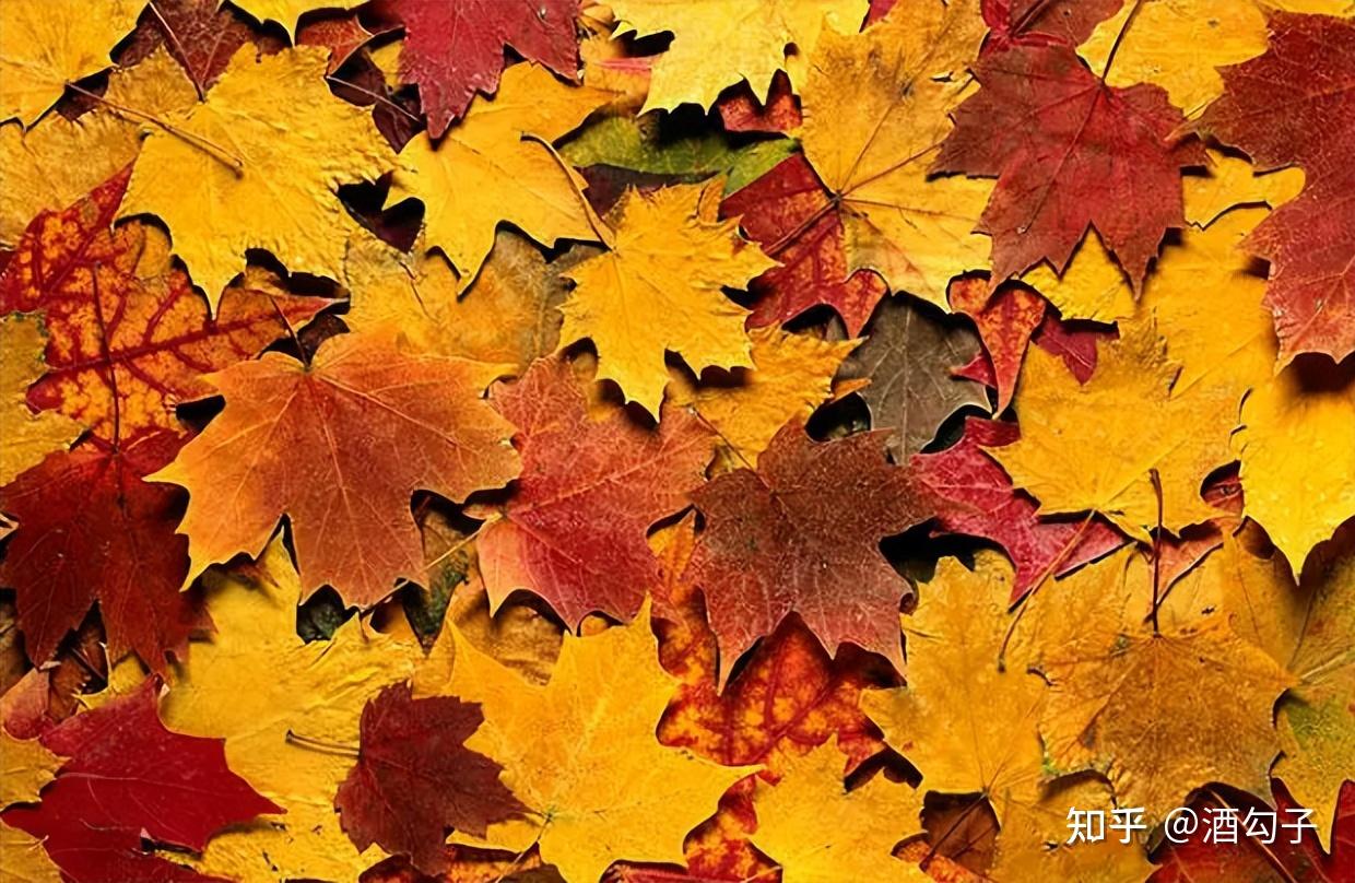 富硒大米如何煮（富硒大米如何煮米饭）-硒宝网
