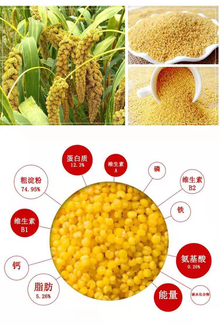 富硒大米的国家(富硒大米产地有哪些)-硒宝网