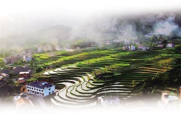 l龙潭富硒大米(富硒优质大米)-硒宝网