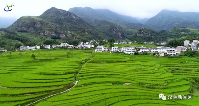 l龙潭富硒大米(富硒优质大米)-硒宝网