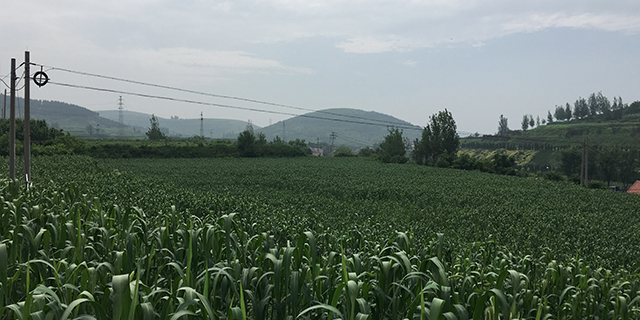 有机高富硒大米（富硒大米有机营养素是什么）-硒宝网