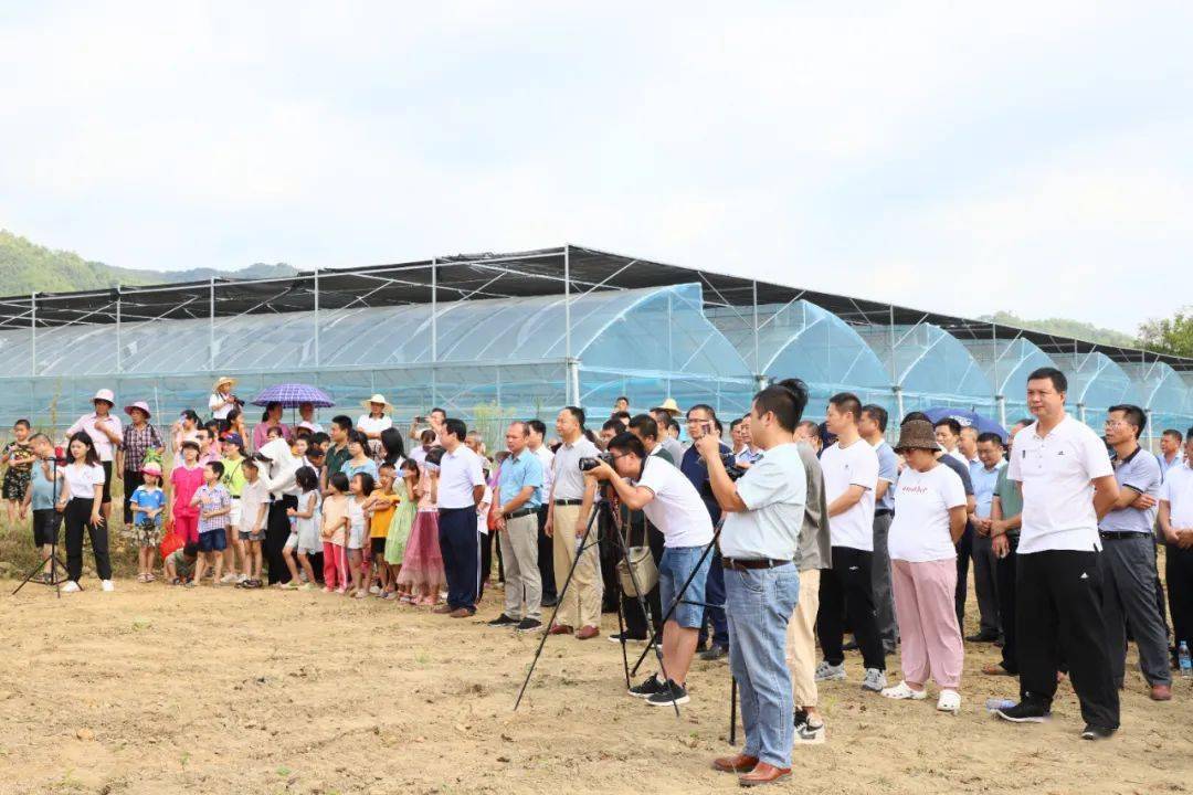 龙潭镇富硒大米(龙潭富硒大米多少钱一斤)-硒宝网