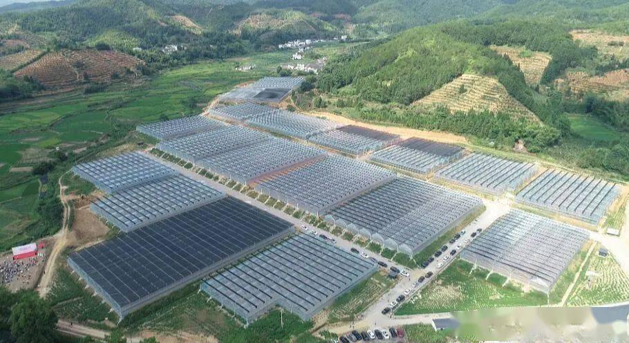 龙潭镇富硒大米(龙潭富硒大米多少钱一斤)-硒宝网