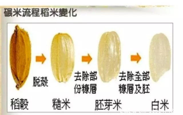 富硒大米口感差(大米口感差富硒怎么办)-硒宝网