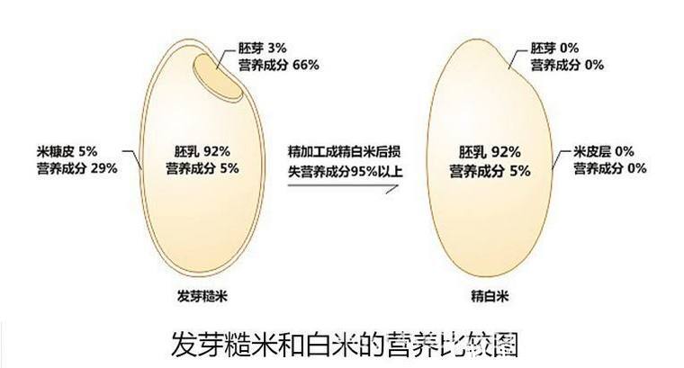 富硒大米口感差(大米口感差富硒怎么办)-硒宝网