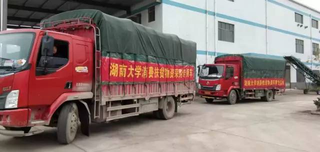 邵阳富硒的大米(富硒优质大米)-硒宝网