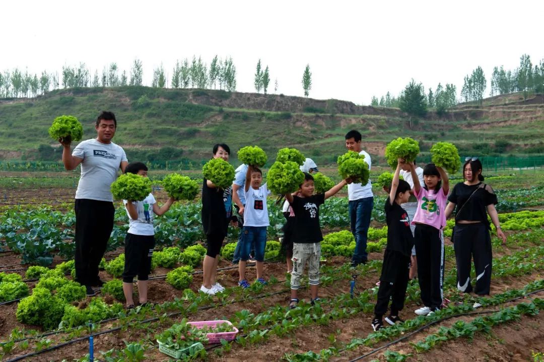保定富硒锌大米(锌硒大米有什么营养)-硒宝网