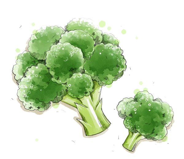 保定富硒锌大米(锌硒大米有什么营养)-硒宝网