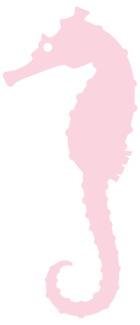 保定富硒锌大米(锌硒大米有什么营养)-硒宝网