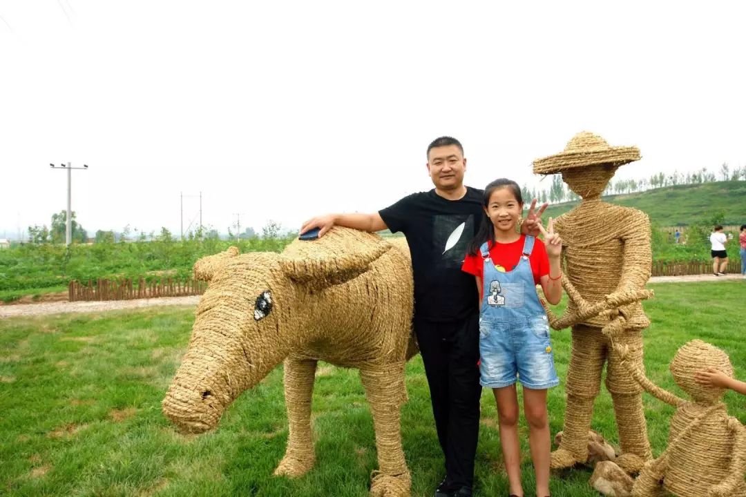 保定富硒锌大米(锌硒大米有什么营养)-硒宝网