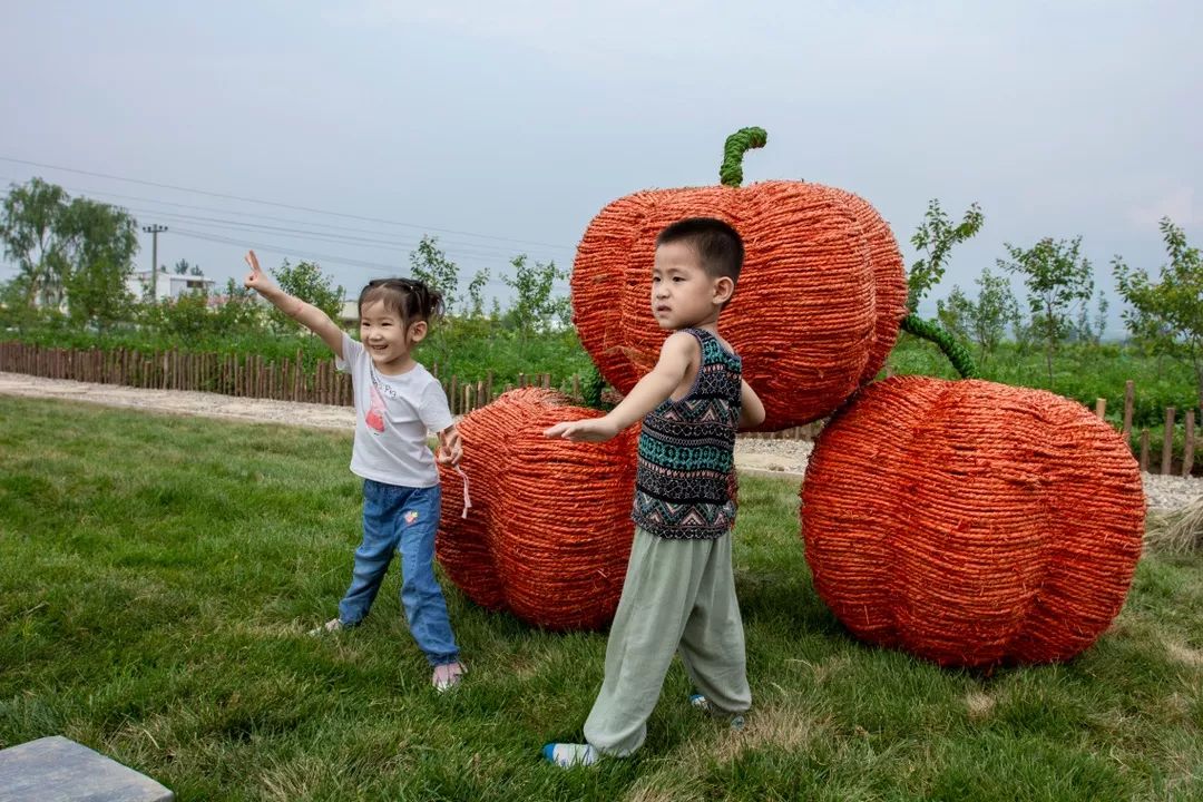 保定富硒锌大米(锌硒大米有什么营养)-硒宝网