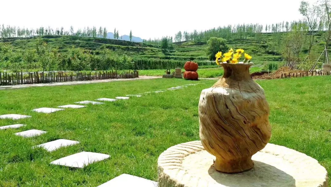 保定富硒锌大米(锌硒大米有什么营养)-硒宝网