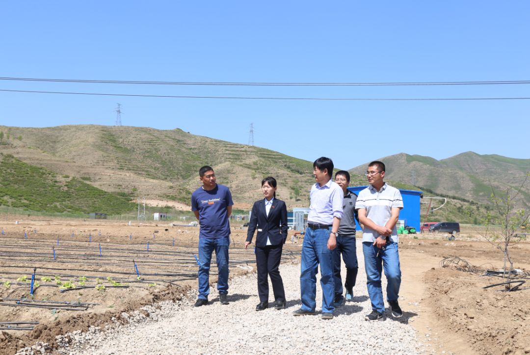 保定富硒锌大米(锌硒大米有什么营养)-硒宝网