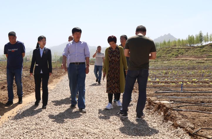 保定富硒锌大米(锌硒大米有什么营养)-硒宝网