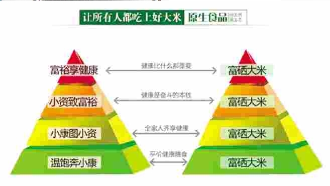 中国王富硒大米(富硒大米产地有哪些)-硒宝网