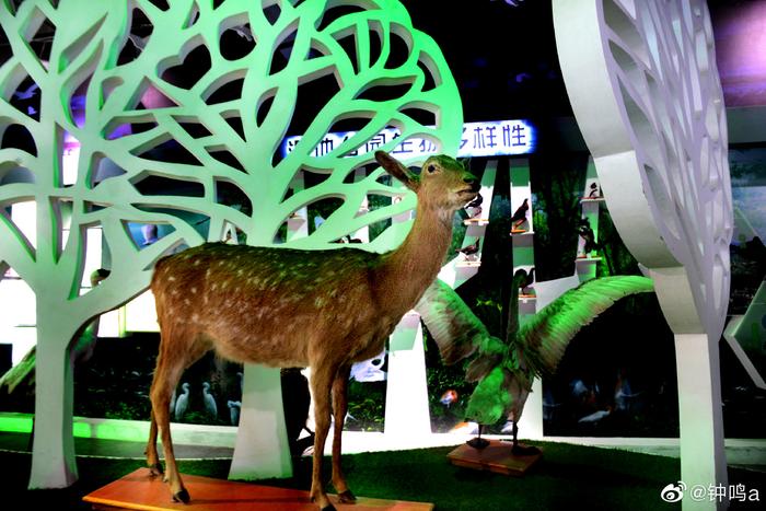 石台出富硒大米（石台富硒米多少钱一袋）-硒宝网