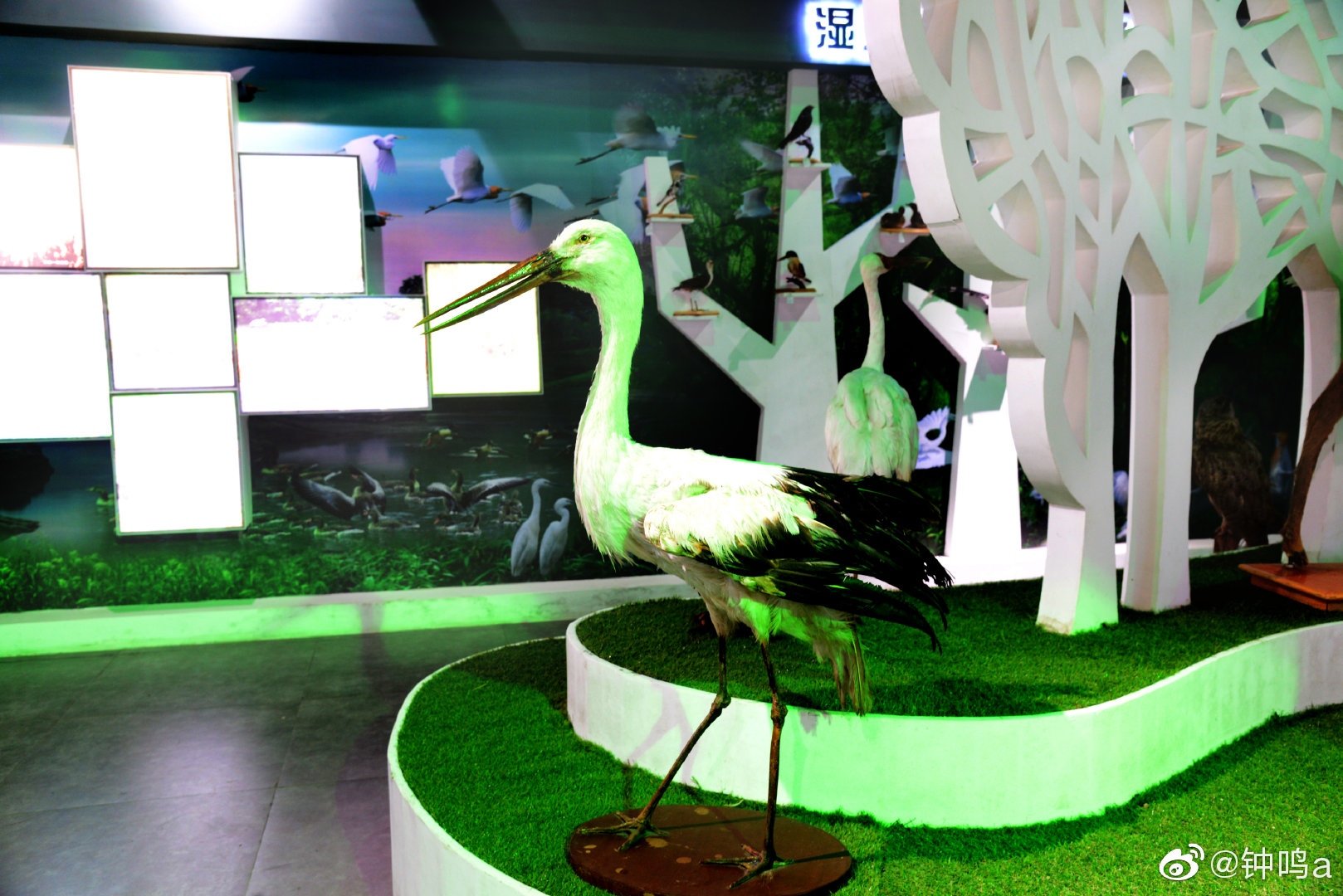 石台出富硒大米（石台富硒米多少钱一袋）-硒宝网