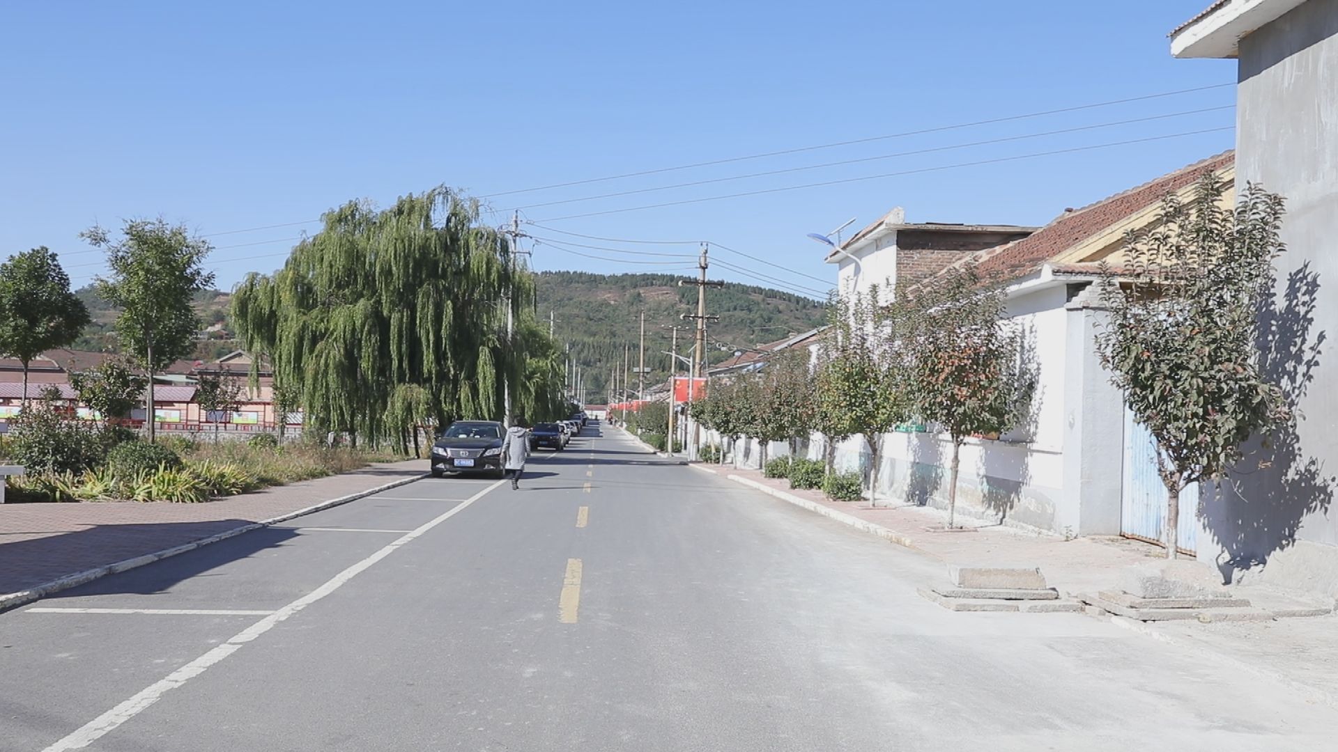 淄博富硒锌大米（锌硒大米多少钱一斤）-硒宝网