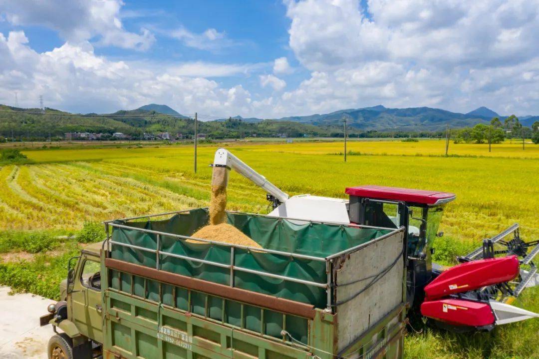 好大姐富硒大米(大米大姐富硒好吃吗)-硒宝网