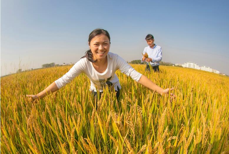 好大姐富硒大米(大米大姐富硒好吃吗)-硒宝网
