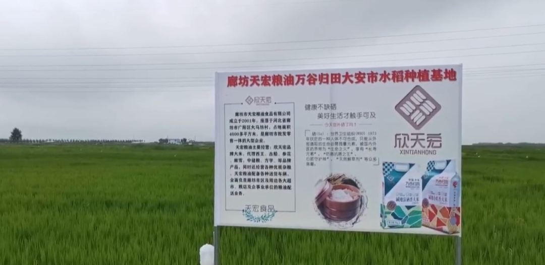 中储粮富硒大米(富硒大米产量)-硒宝网