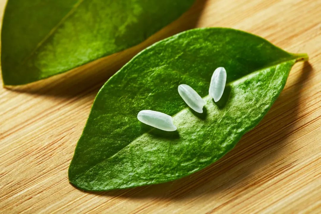 富硒大米免淘洗（富硒大米用不用淘）-硒宝网