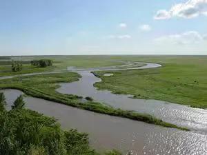 富硒钙铁锌大米(大米钙锌铁富硒含量)-硒宝网