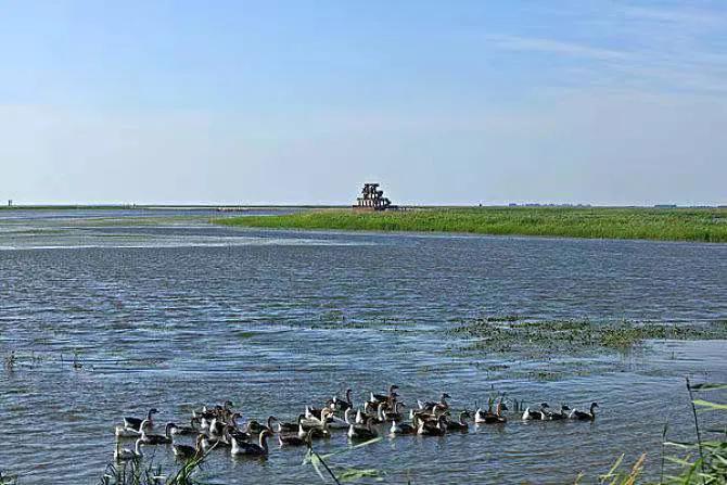 富硒钙铁锌大米(大米钙锌铁富硒含量)-硒宝网