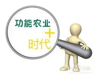 富硒钙铁锌大米(大米钙锌铁富硒含量)-硒宝网