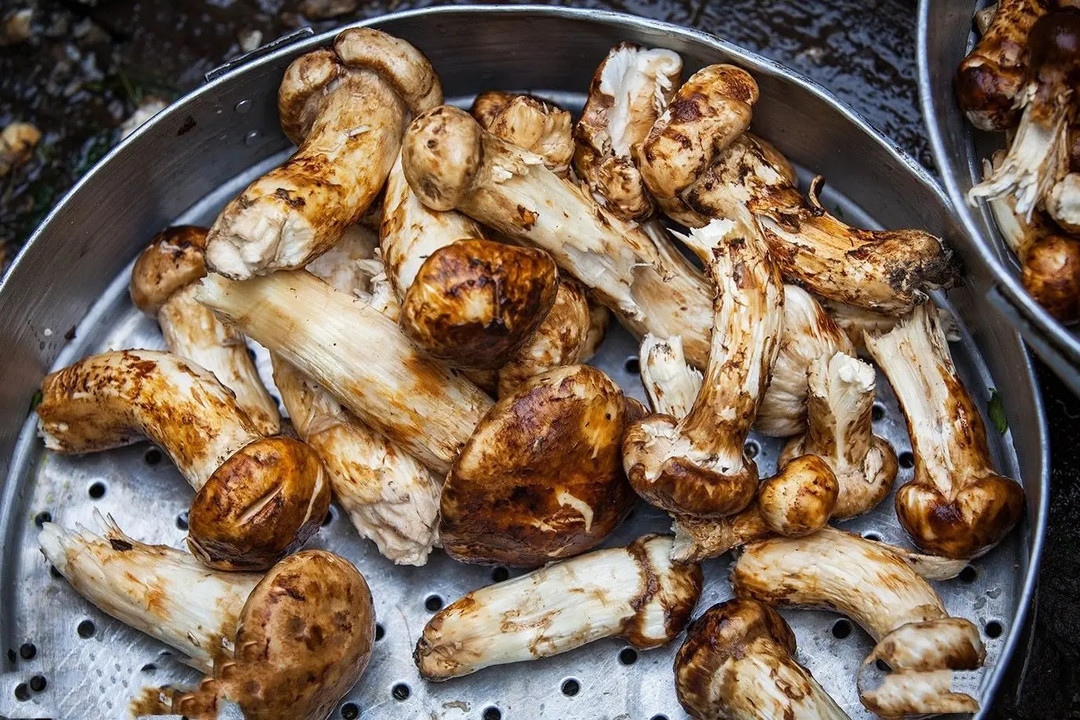 运山珍富硒大米(据报道富硒大米有多种保健功能)-硒宝网