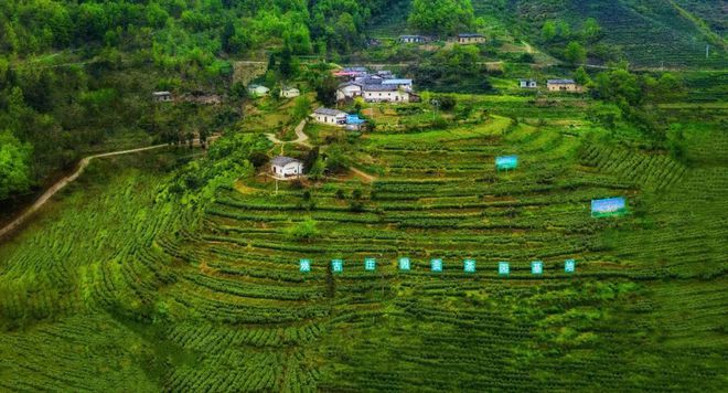 汉阴县富硒大米（陕南富硒大米）-硒宝网