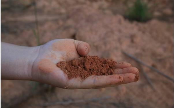 石河子富硒大米(富硒优质大米)-硒宝网