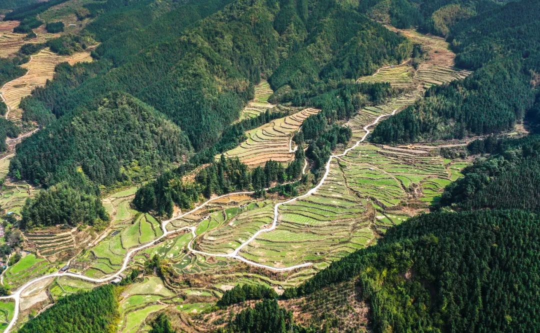 瓦里乡富硒大米（富硒大米基地）-硒宝网