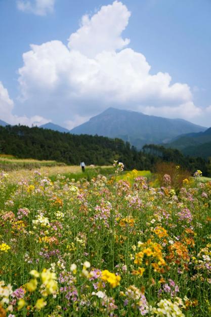 瓦里乡富硒大米（富硒大米基地）-硒宝网