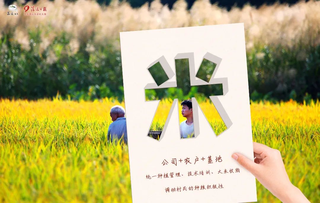 瓦里乡富硒大米（富硒大米基地）-硒宝网